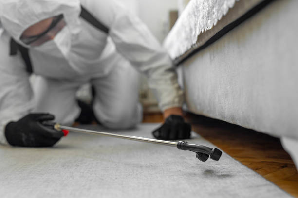 Professional Ant Control technician working in Navarre Beach, FL